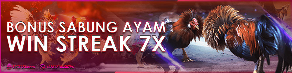 Win Streak 7X Sabung Ayam